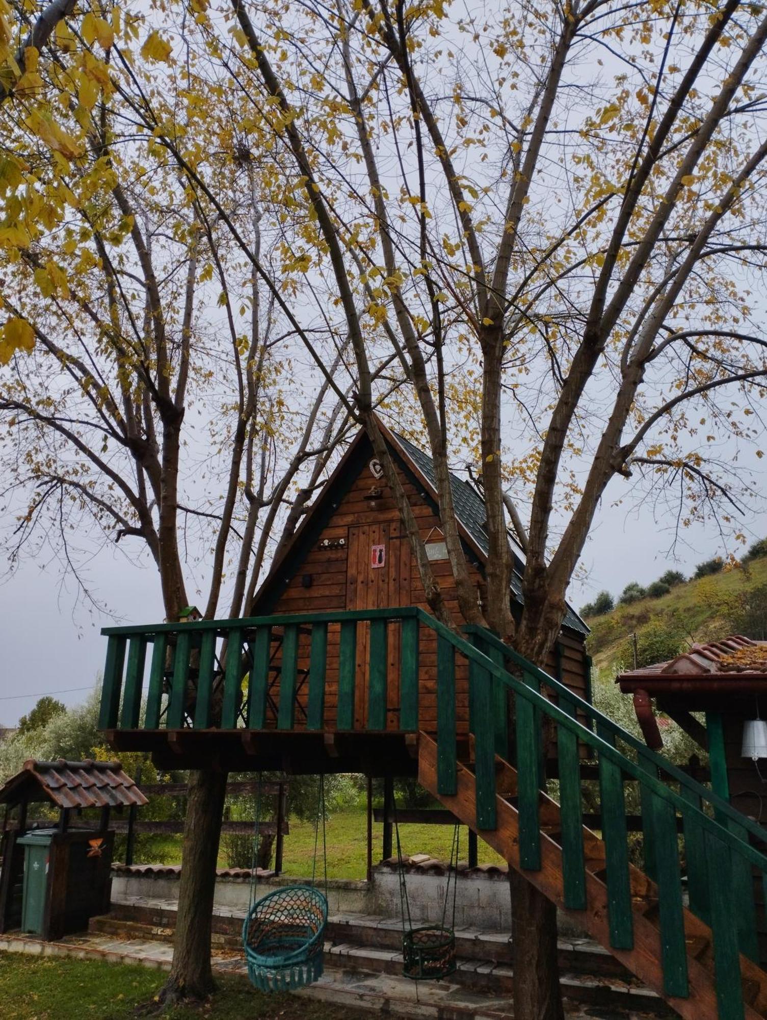 Traditional Guesthouse Trikala  Exterior photo