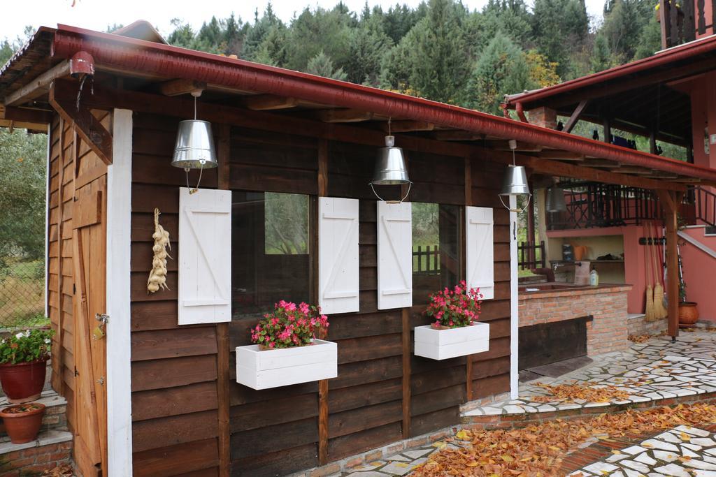 Traditional Guesthouse Trikala  Exterior photo