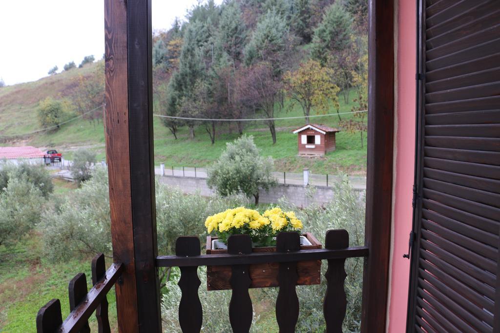 Traditional Guesthouse Trikala  Exterior photo