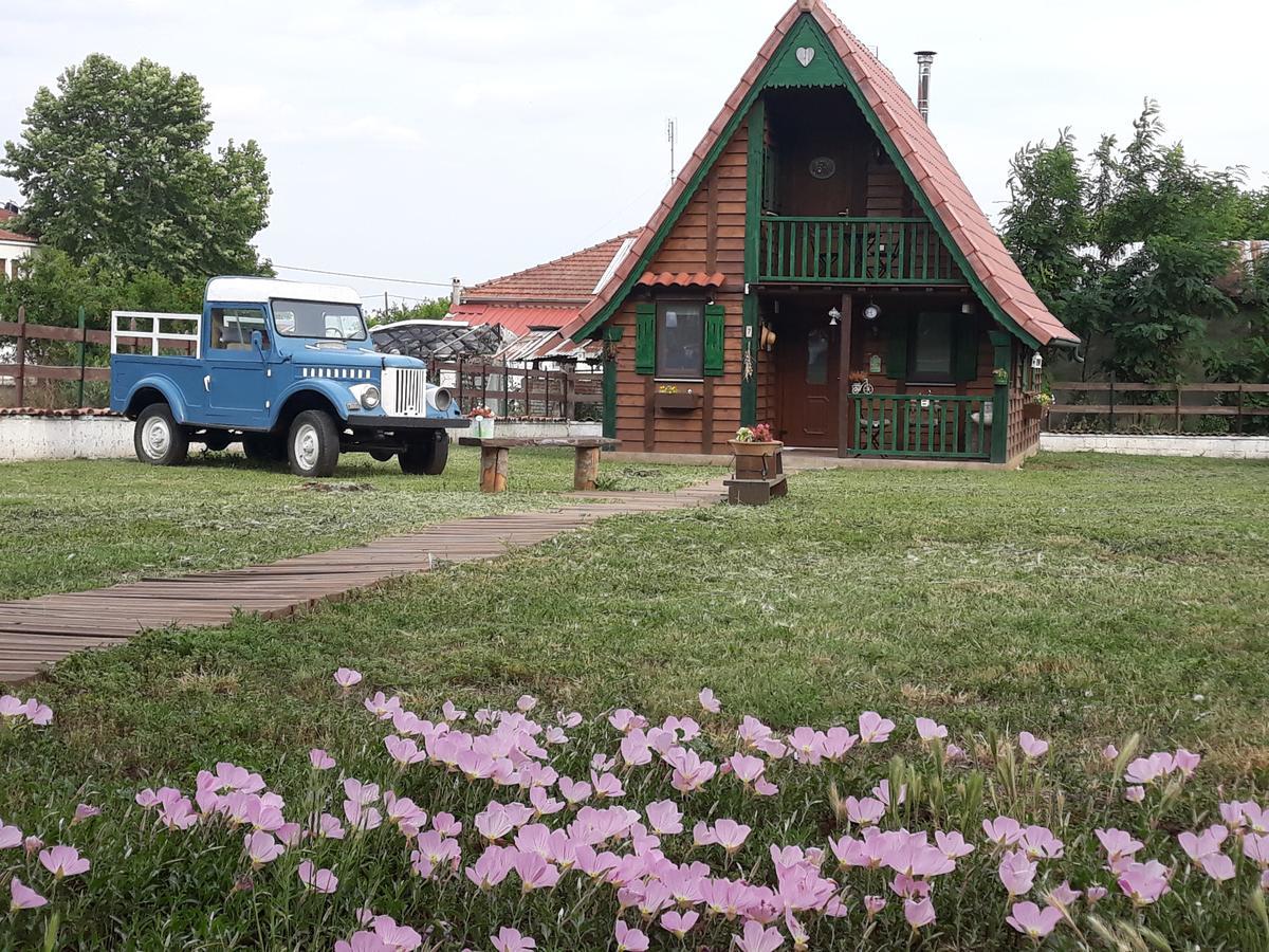 Traditional Guesthouse Trikala  Exterior photo